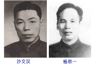 沙文汉、杨思一